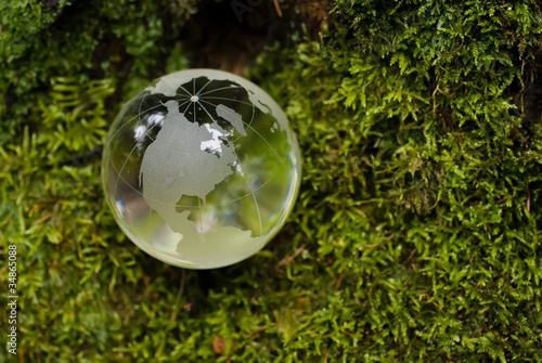 кристально чистый земной шар на фоне зеленого мха