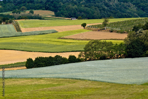 Fields, vineyaard, forest & meadow green layers