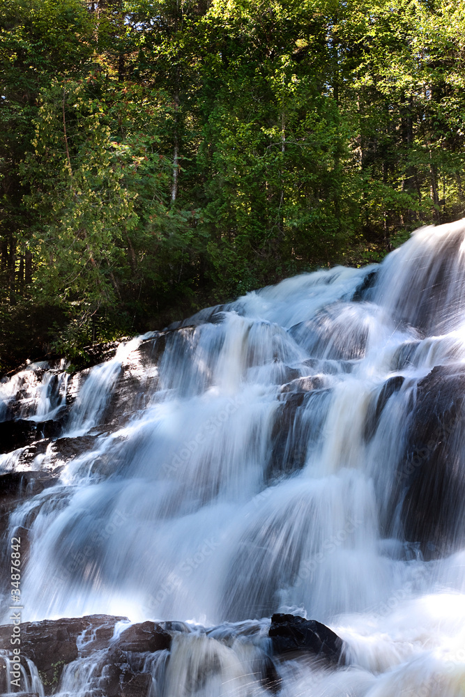 Forest waterfall