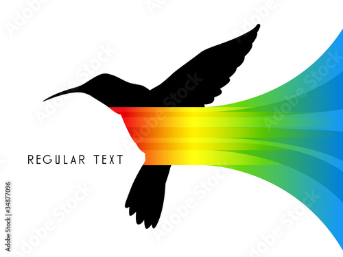 Vector Abstract Colibri Illustration