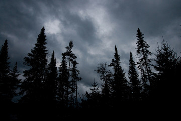 Keuken achterwand Onweer Stormwolken pakken samen boven bos  © mario beauregard