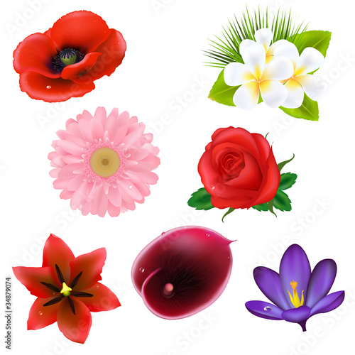 Fototapeta Naklejka Na Ścianę i Meble -  Flowers