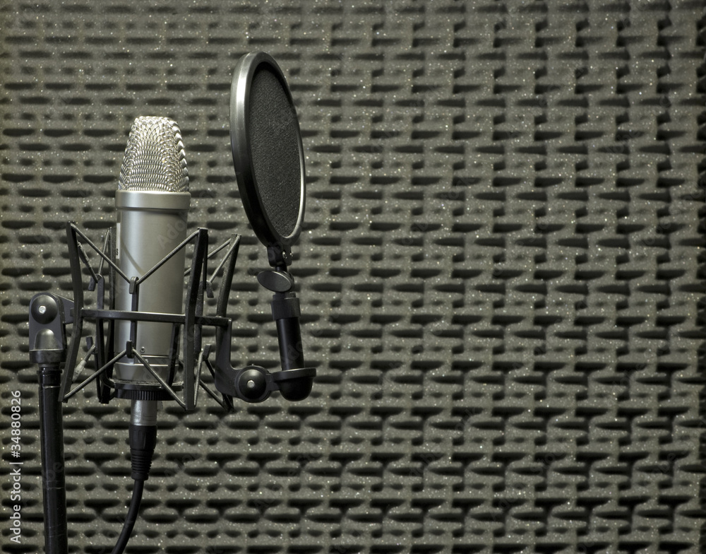 Microphone in Acoustic Booth Stock Photo | Adobe Stock