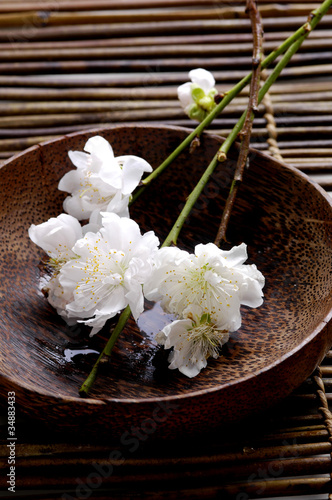 Wooden bowl of brunch blossoms spring flowers