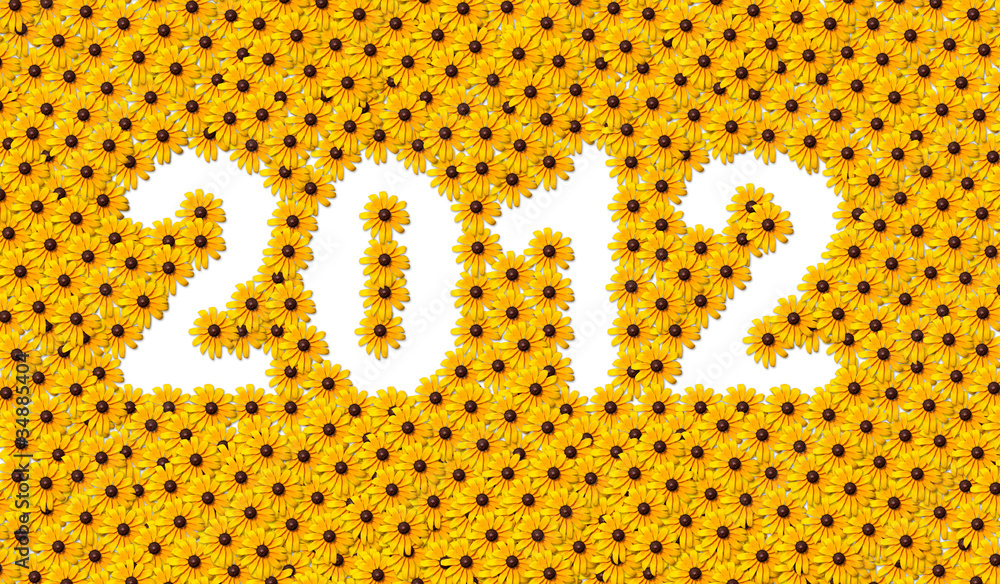 New Year 2012 AD - obrazy, fototapety, plakaty 