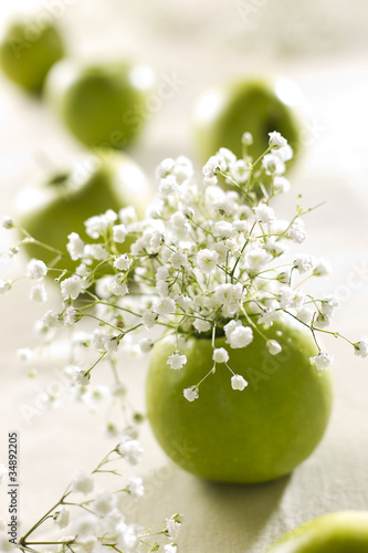 Mela deccorata