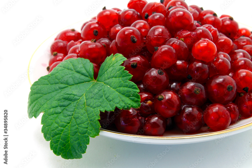 currant currant