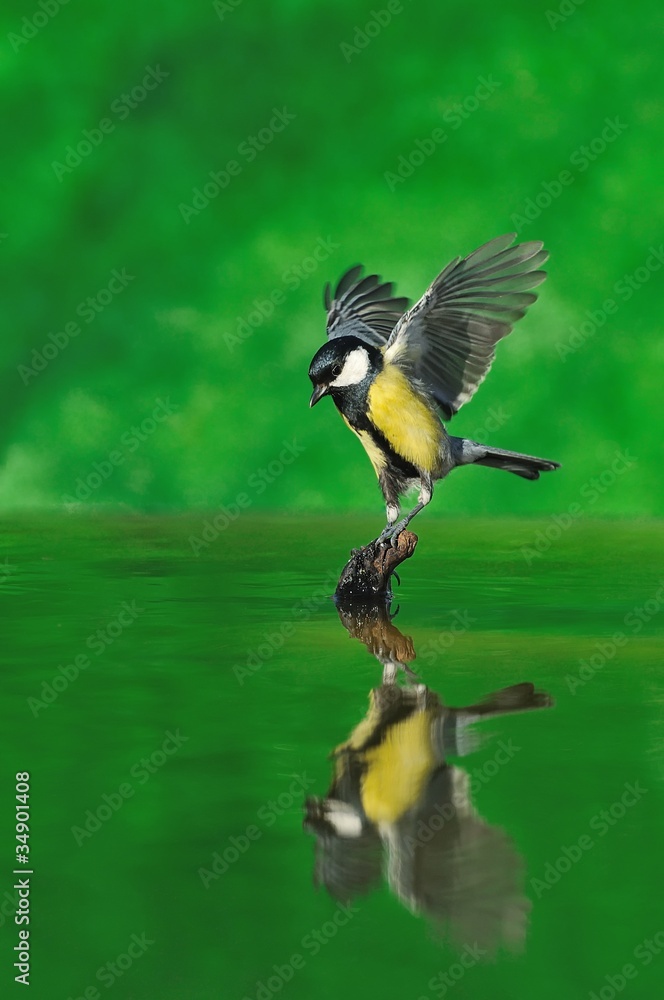 Obraz premium Aterrizaje.