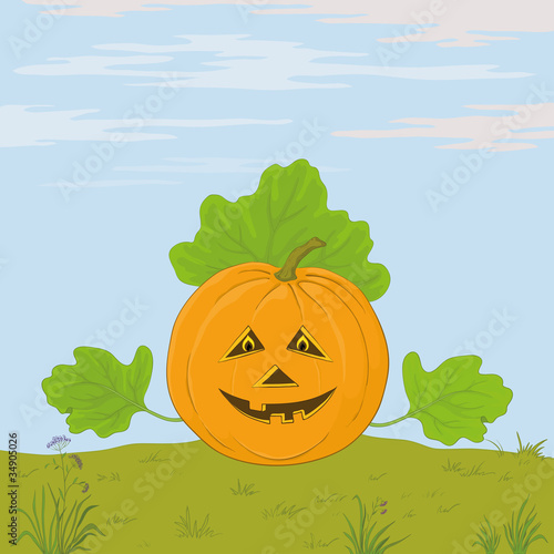Pumpkin Jack O Lantern