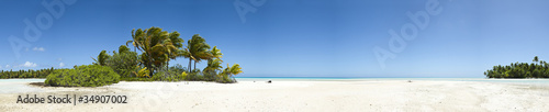 Palm tree and white sand beach panoramic view