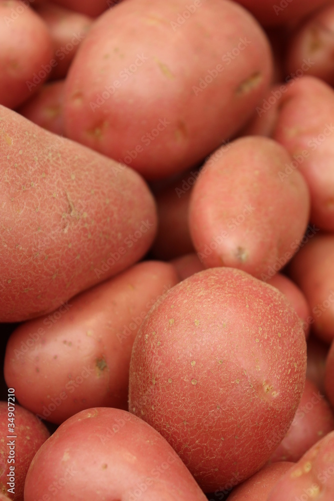 Potatos on display at the market