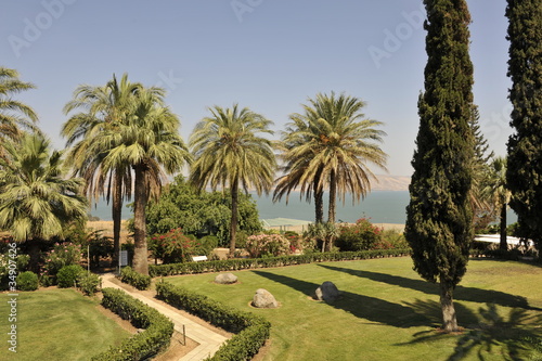 Garden on Mt. Beatitudes in Galilee.