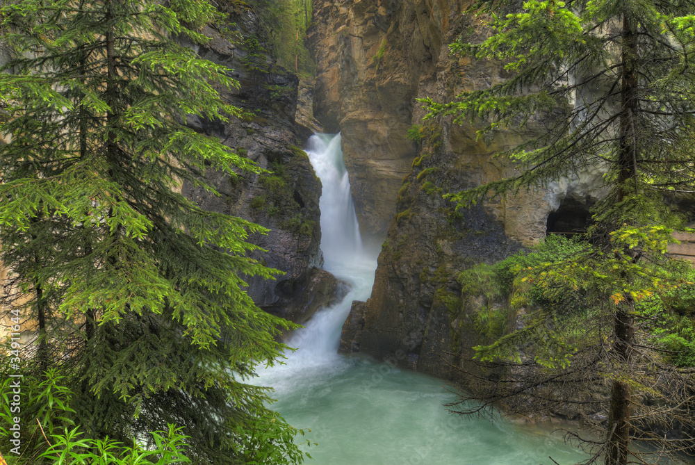 Fototapeta premium Johnston Canyon
