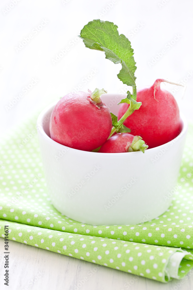 Radieschen Radieschen