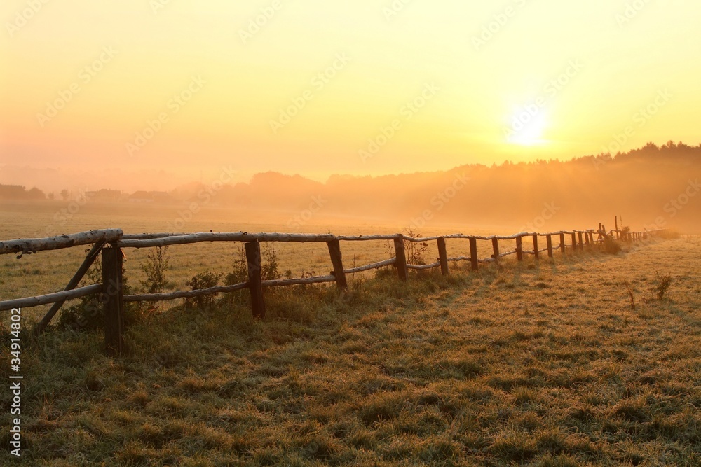Sunrise over grassland with idyllic fence in the foreground