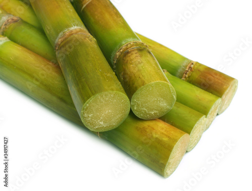 Sugar cane close up