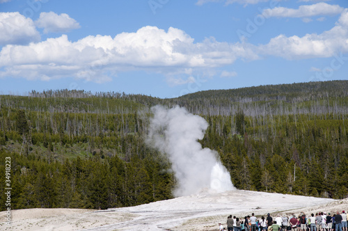 Old Faithful Geyser Yellowstone Nati.Park Wyoming USA