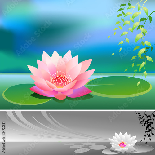 Divine Lotus Flower - Vector Background