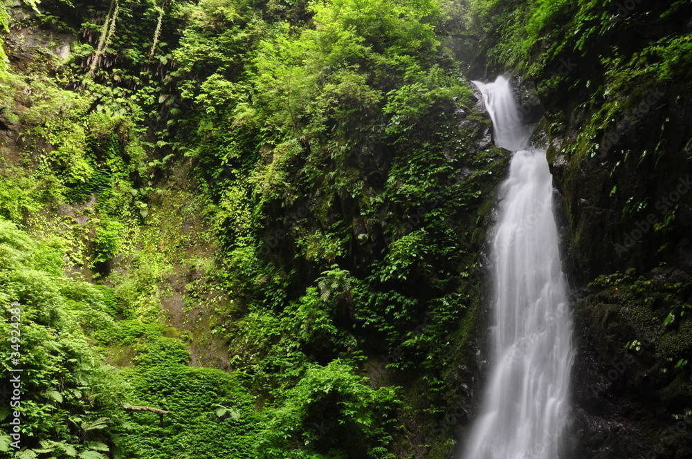 Obraz premium 塩川滝飛沫