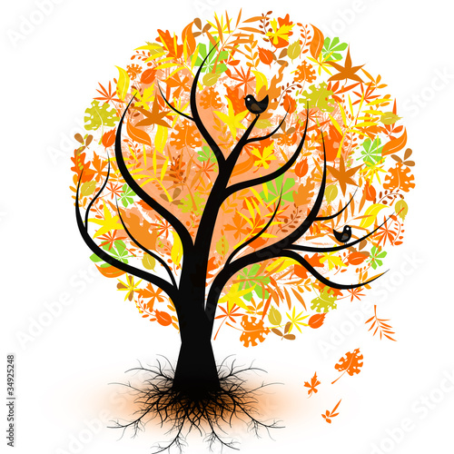 Colorful autumn tree