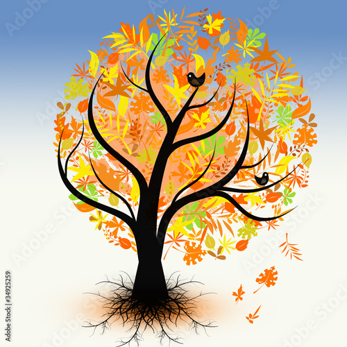 Colorful autumn tree