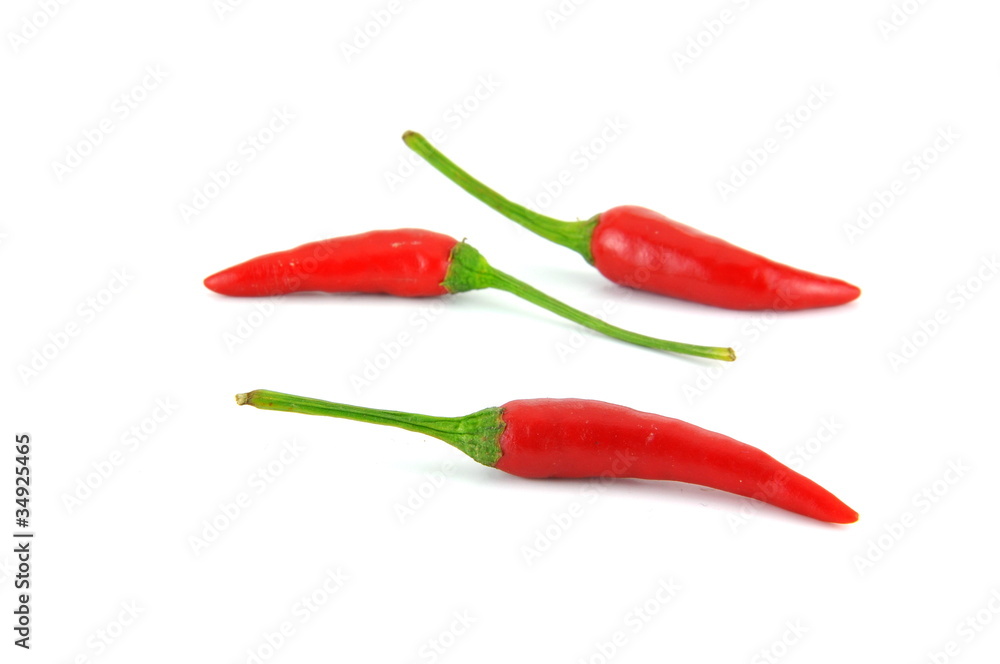 chili pepper chili pepper