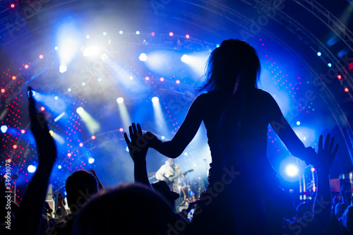 Crowd of fans at a concert