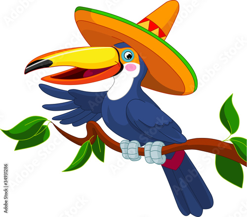 Toucan with sombrero