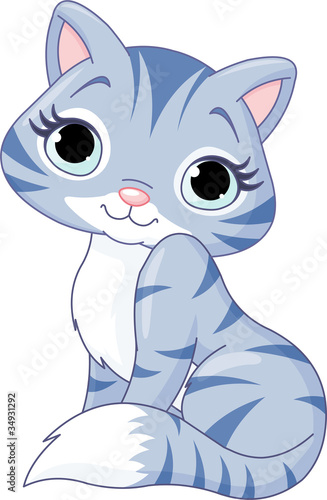 Cute kitten