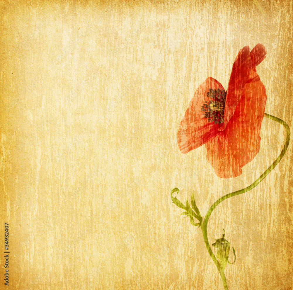 Fototapeta premium paper textures.