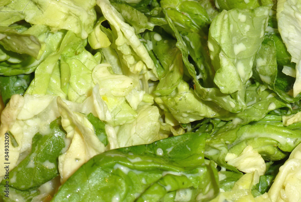 grüner Salat