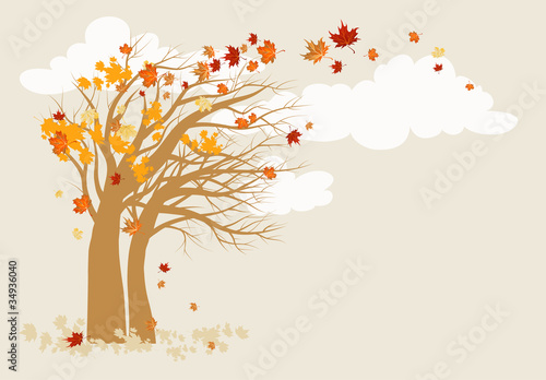 Autumn tree background