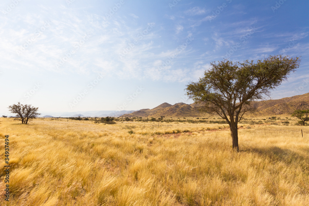 Naklejka premium Naukluft góry w Namibia, Afryka
