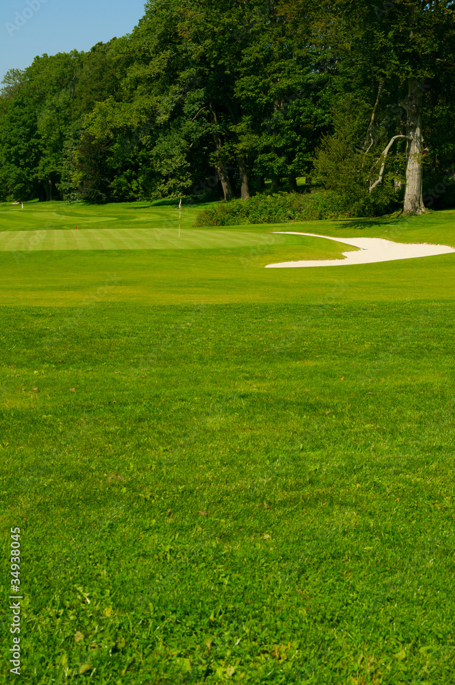 Obraz premium Golf Course in Forest