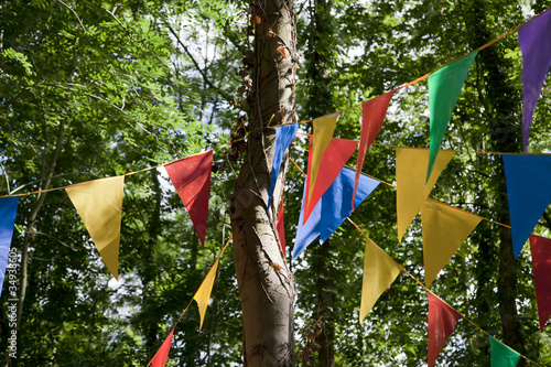 Fanion et Fête Nationale photo