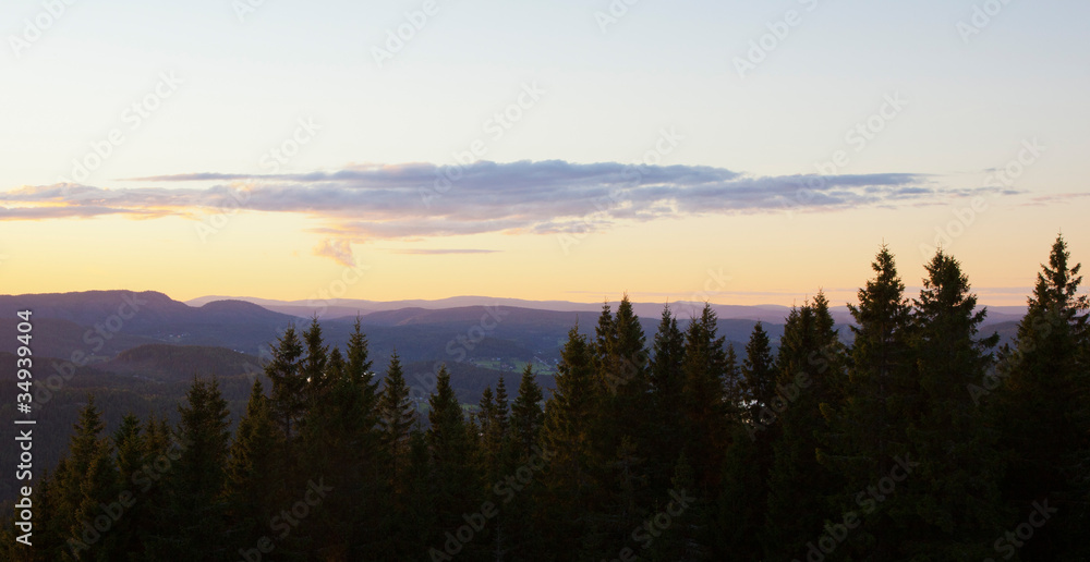 Fototapeta premium Spruce Dusk