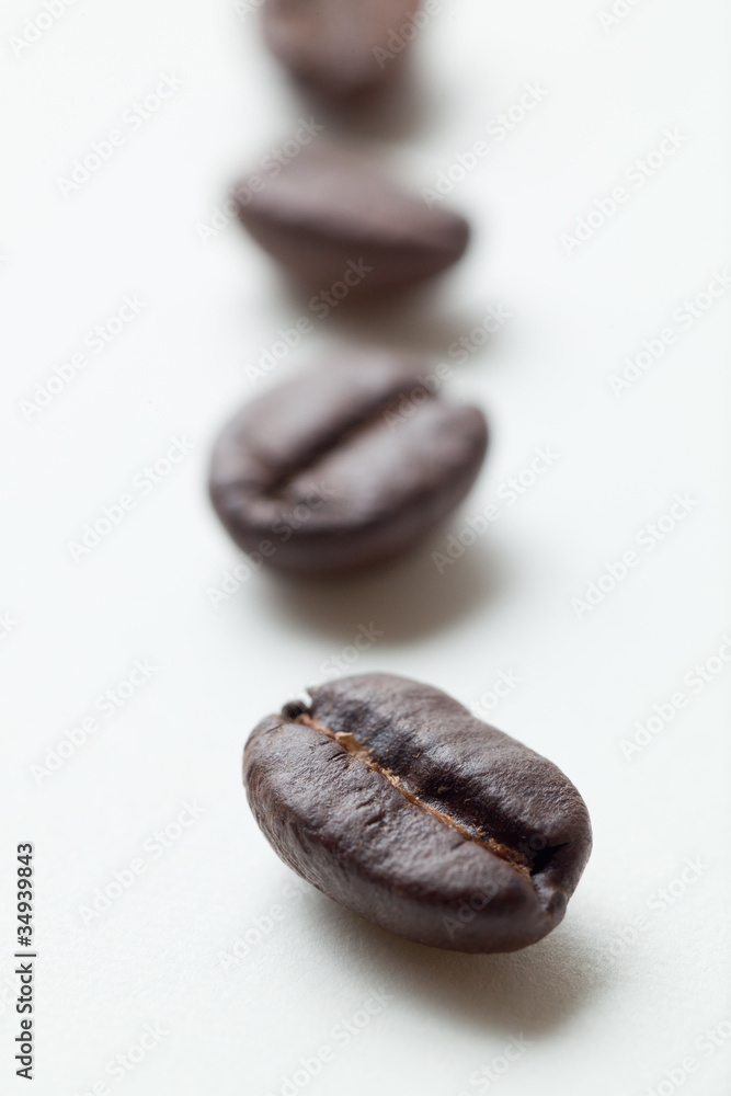 コーヒー豆 コーヒー豆