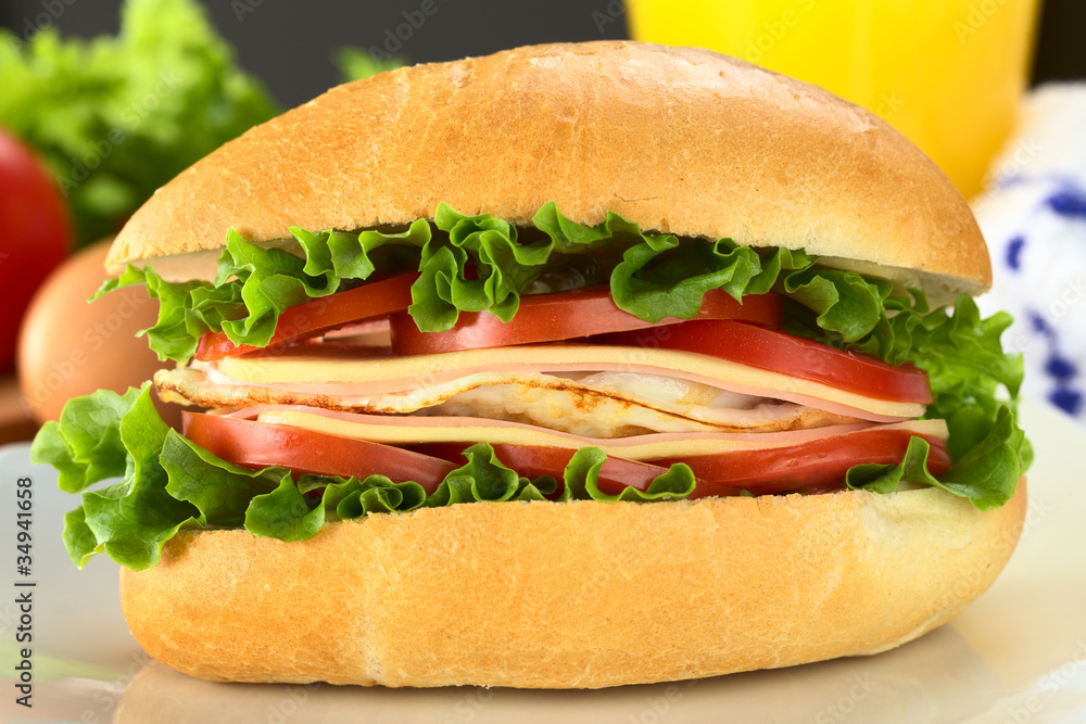 Sandwich with lettuce, tomato, ham, cheese, fried egg Sandwich with lettuce, tomato, ham, cheese, fried egg