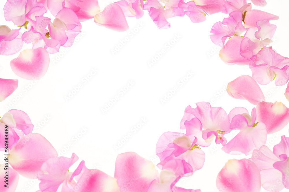 ピンクの花びら