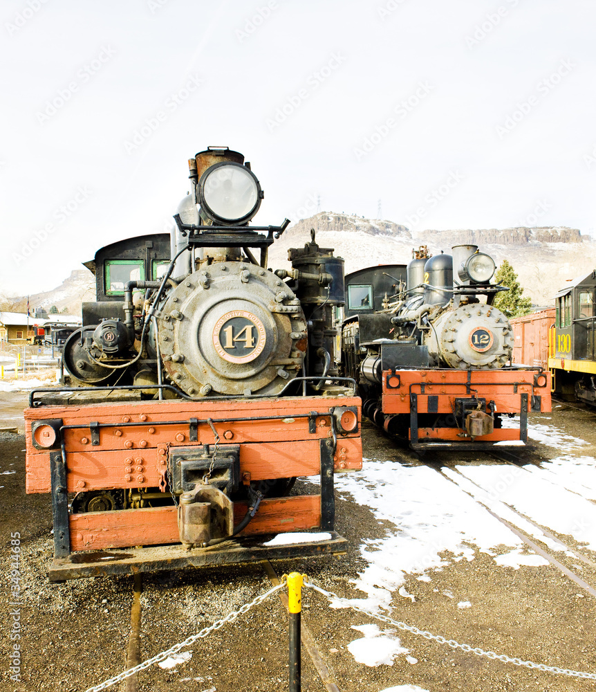 stem locomotives in Colorado Railroad Museum, USA