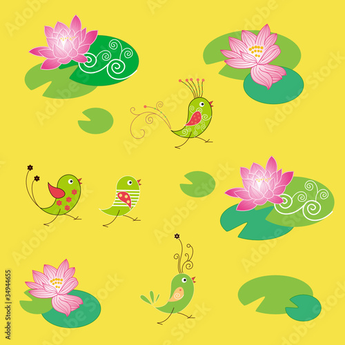 莲花和小鸟