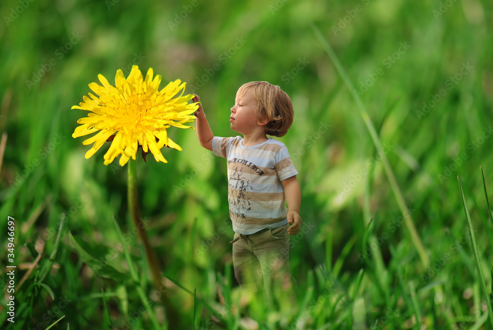 Fototapeta premium Cute tiny boy playing in the grass