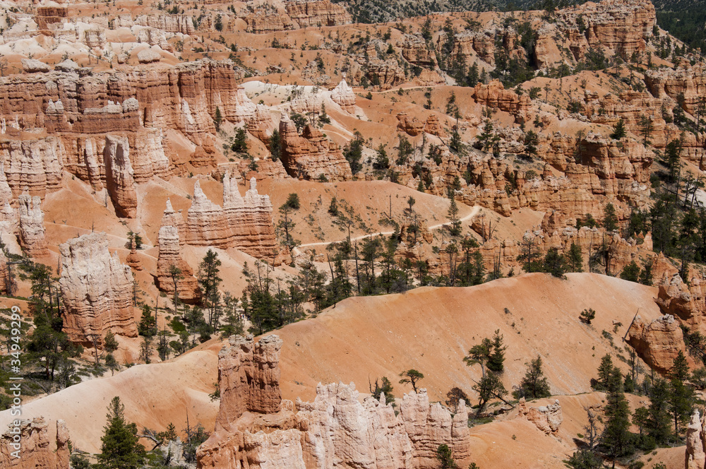 Hoodoos in Bryce Canyon National Park, Utah, USA