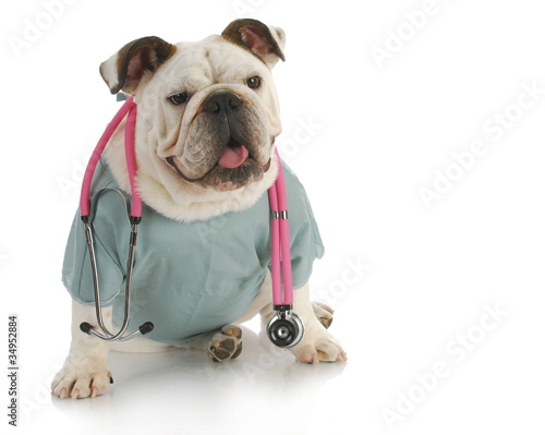 veterinary care