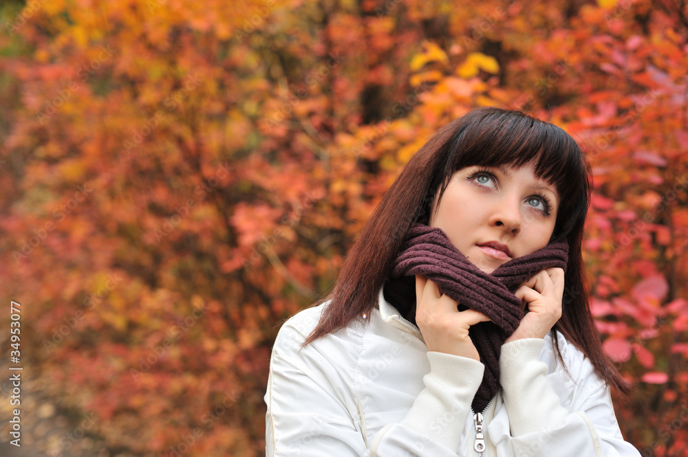 The girl in an autumn forest The girl in an autumn forest
