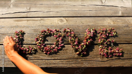 Napis miłość ułożony z kwiatów