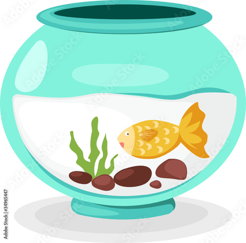 fish bowl