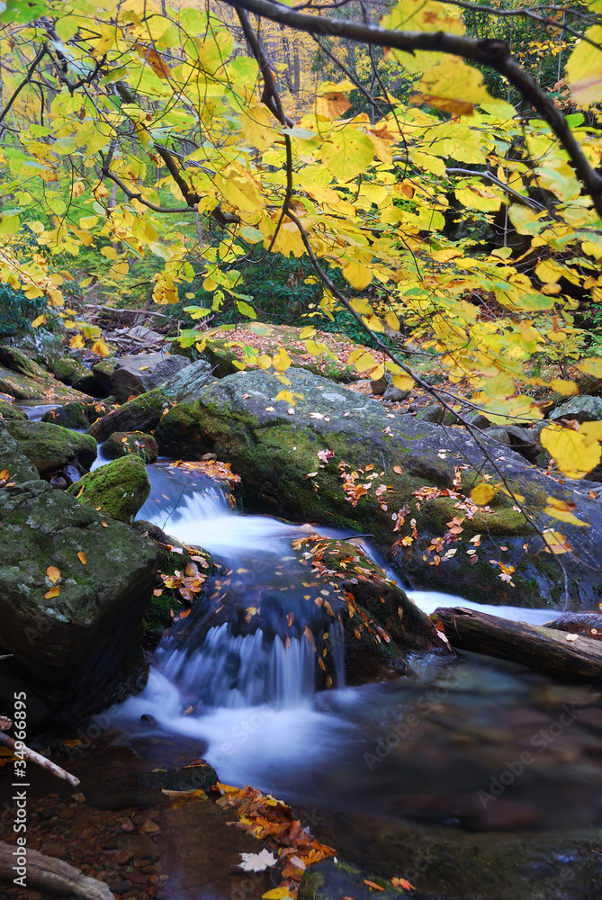 Autumn creek Autumn creek