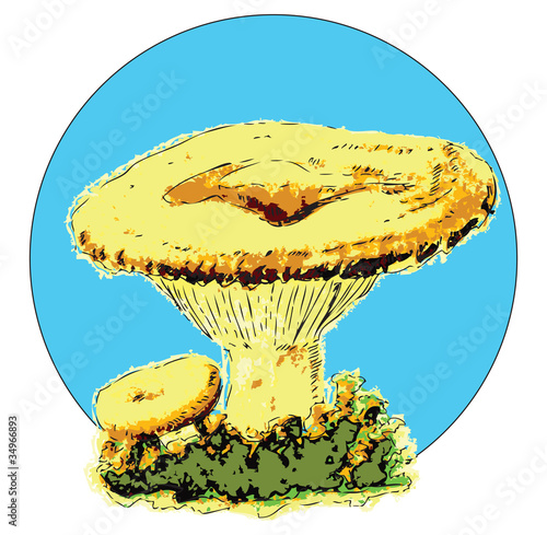 Milk mushroom