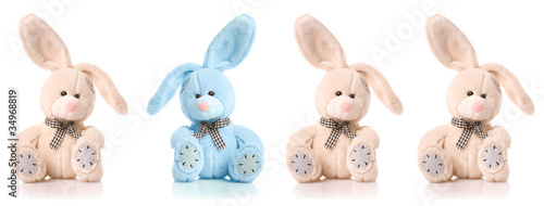 Cuadro en lienzo Four cute rabbits isolated on white background